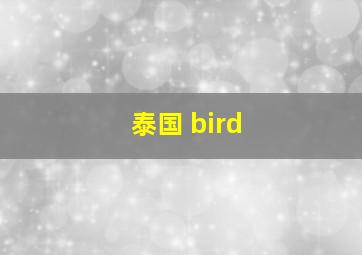 泰国 bird